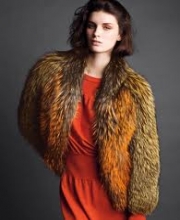 Gabriele Strehle's Collection